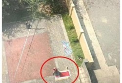 揭阳锡场事件爆料最新情况,真相逐步浮出水面